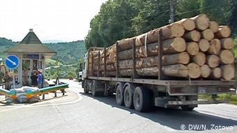 2017 року активісти зафіксували рекордну кількість експортованого лісу-кругляка до ЄС