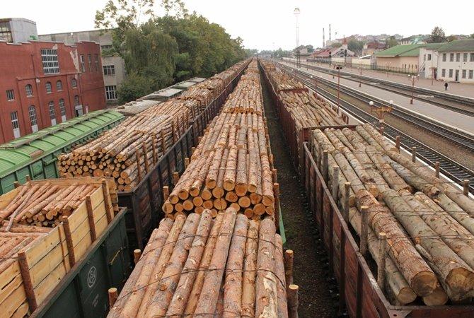 Запрет на экспорт древесины в Украине: причины, последствия, альтернативы