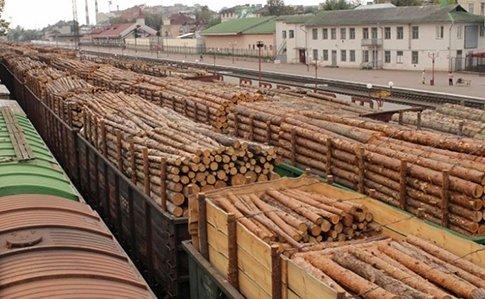 Україна експортує до ЄС незаконну деревину для постачальників Ikea і H&M – дослідники