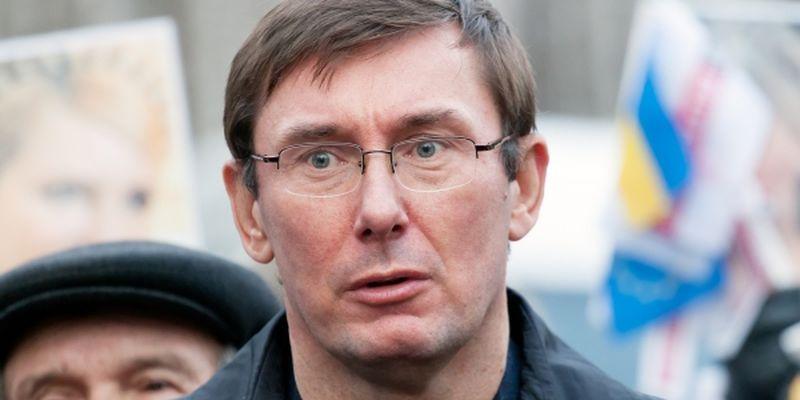 Український ліс в ЄС продає син Луценка – ЗМІ