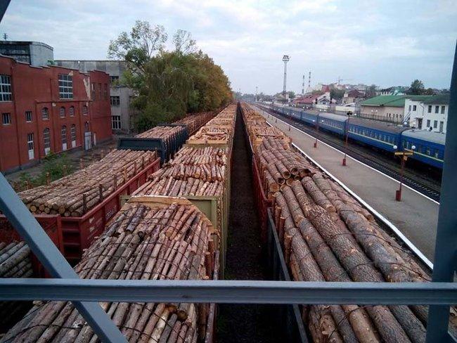 Що відомо про контрабанду лісу з України під виглядом дров