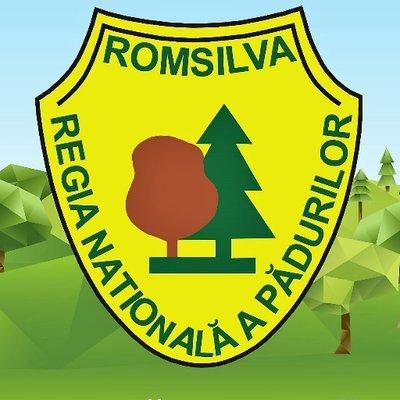 Румыния: Является ли честным ценообразование на рынке древесины?