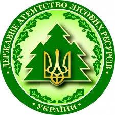 Україна перейшла на нові національні стандарти якості деревини, гармонізовані з європейськими