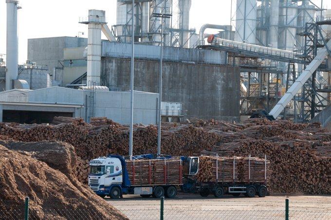 SWISS KRONO: рекорд по объему консолидированных продаж