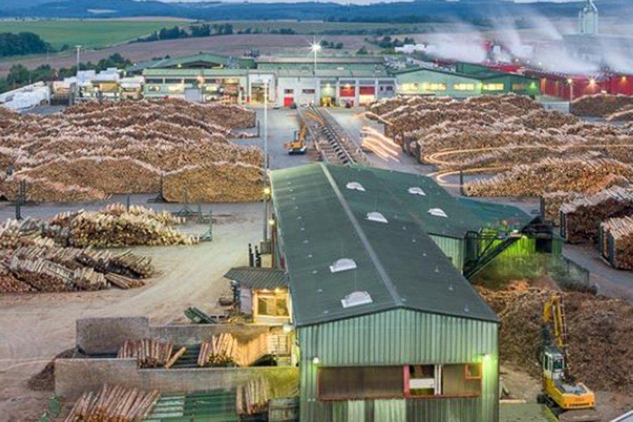 Mercer International: изделия из древесины находятся в отрицательной зоне продаж