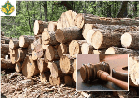 Результати аукціонних торгів необробленою деревиною заготівлі 2 кварталу 2019 р.