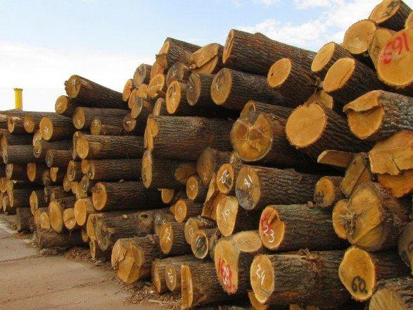 Мосійчук заявив, що у НАБУ йому відмовили у розслідуванні контрабанди лісу