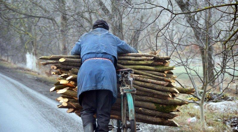 Дерево, яке вивозять з Карпат – це золото. Продають на дрова
