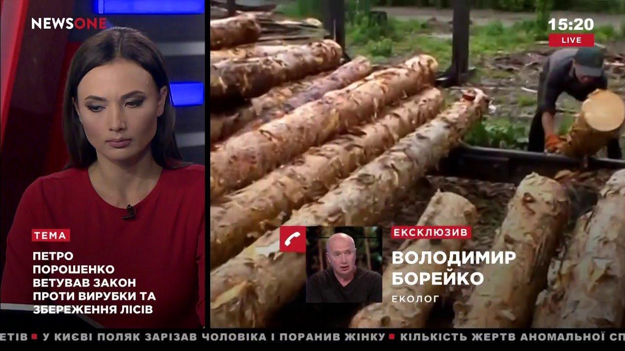 Эколог Владимир Борейко о вырубке леса в Карпатах 23.07.18