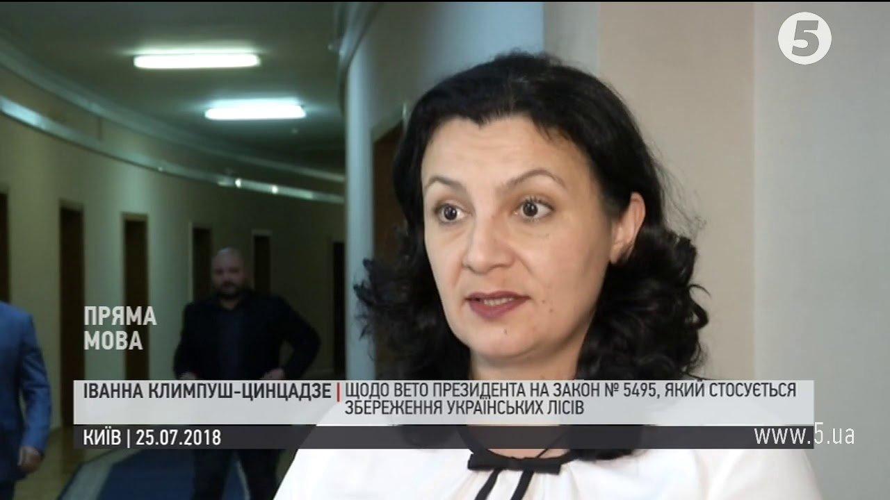 Климпуш-Цинцадзе пояснила, чому Порошенко ветував закон про контрабанду лісу