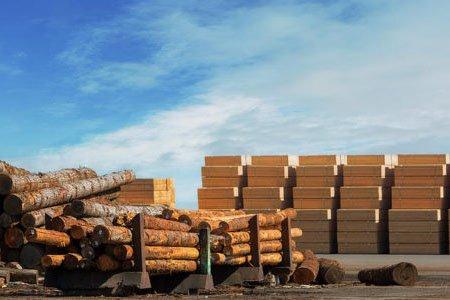 Анализ: будет ли в будущем огромная потребность Китая в древесине все еще зависеть от импорта?