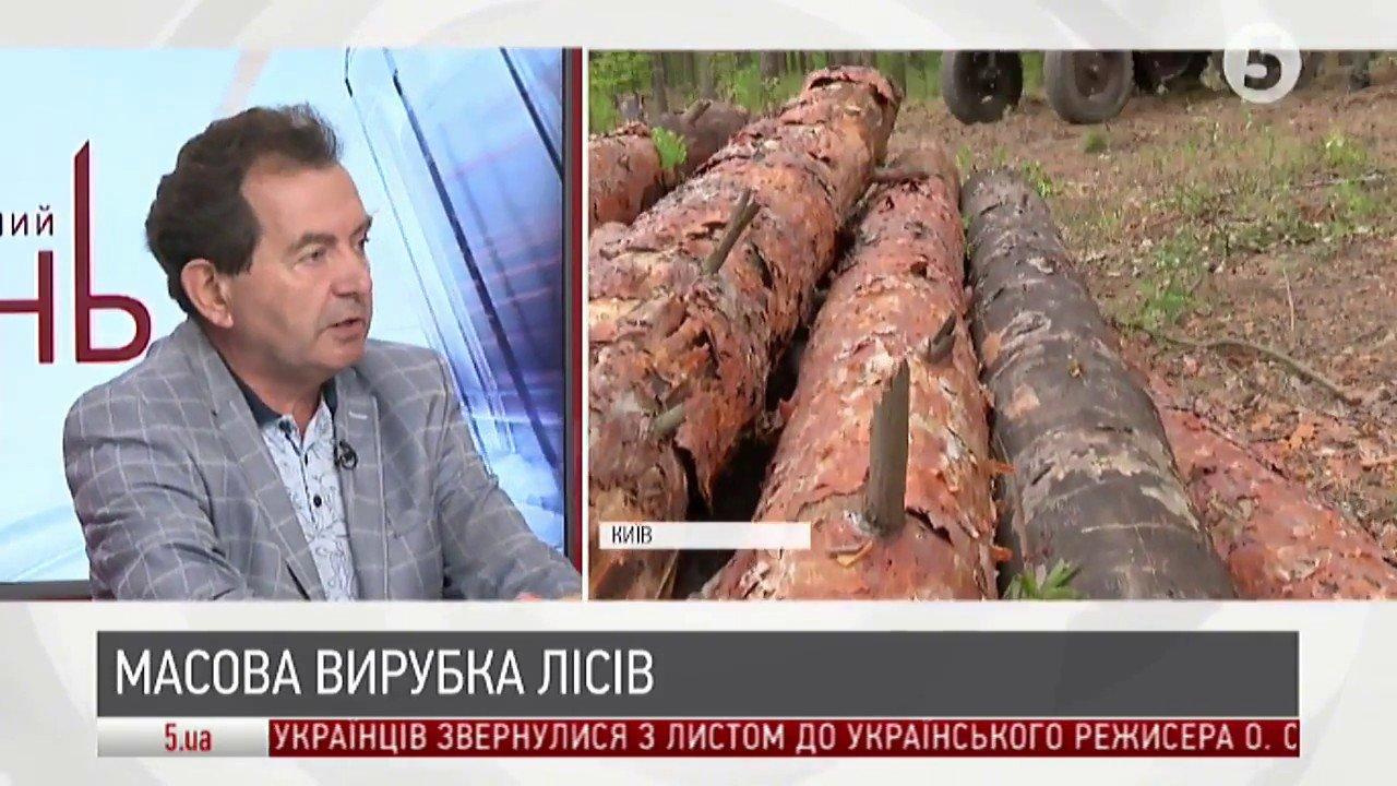 Масова вирубка карпатських лісів: чи є реальна загроза | Юрій Марчук |