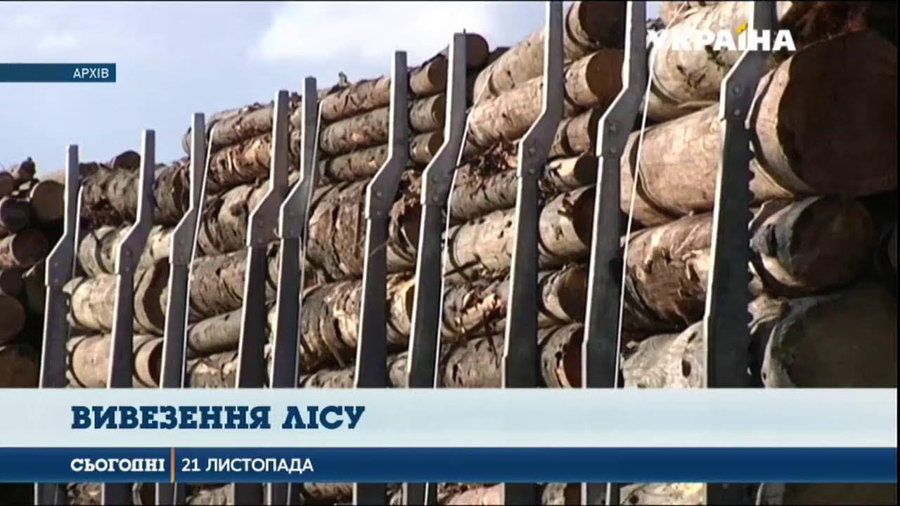 Сім вагонів особливо цінної деревини затримали слідчі Генпрокуратури