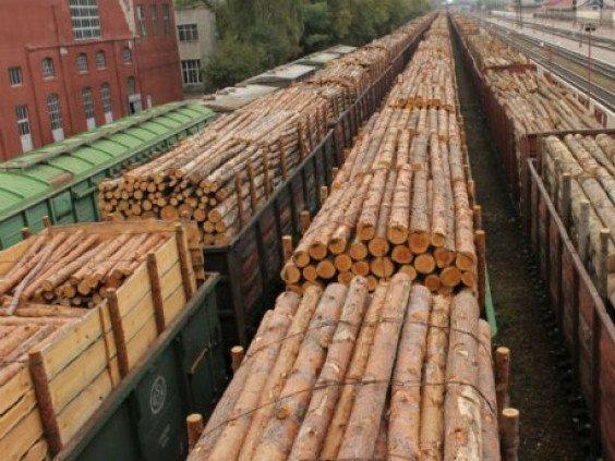 За місяць з Ківерцівського району вивезли 50 вагонів ділової деревини