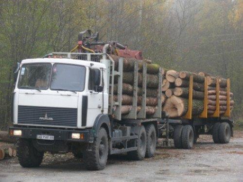 Волинські фіскали хочуть запровадити єдину інформаційну систему щодо обігу деревини