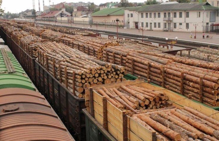 ЄС готовий до торгового арбітражу з Україною щодо скасування мораторію на ліс-кругляк