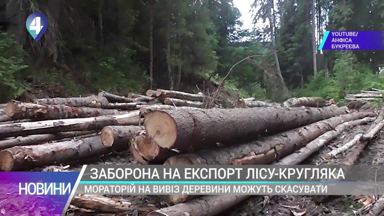 ЗАБОРОНА НА ЕКСПОРТ ЛІСУ-КРУГЛЯКА