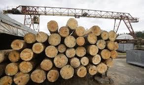 «Лесной» конфликт: Евросоюз пошел в торговую атаку