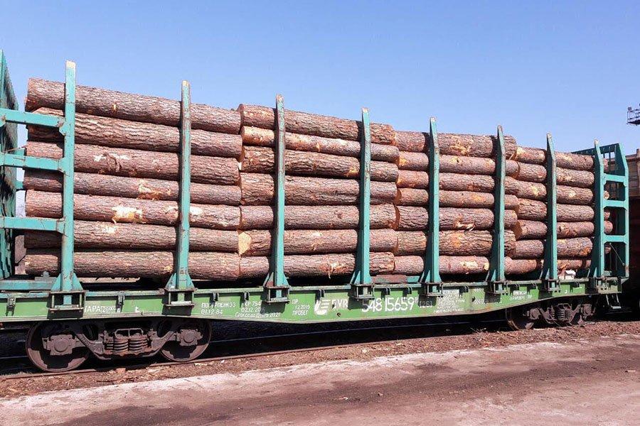Аукціонні торги з реалізації необробленої деревини заготівлі 4 кварталу 2019 року підприємствами Київського ОУЛМГ