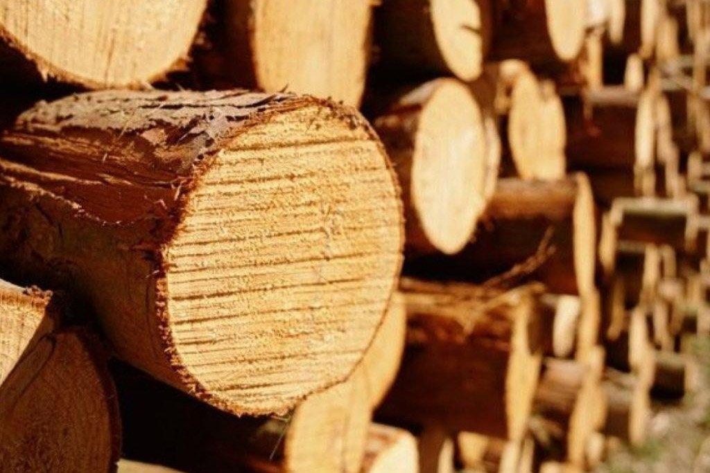 Экспорт российских лесоматериалов за первые семь месяцев 2019 года