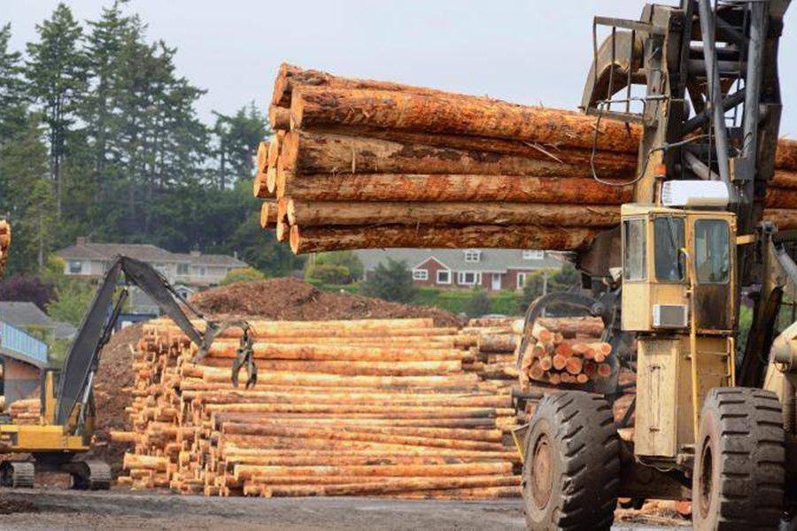 Нехватка поставок круглого леса в Китае, спрос начинает резко расти