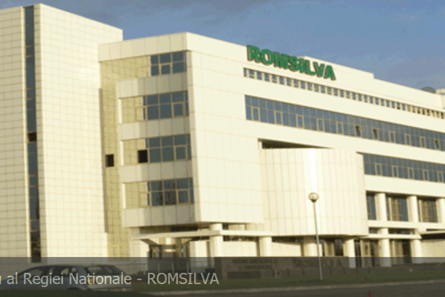 Romsilva в 2020 году заготовит 9,5 млн м³ круглого леса