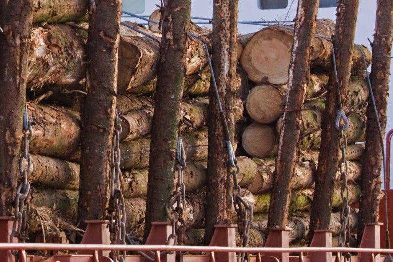 Экспорт российского круглого леса хвойных пород сократился на 14%