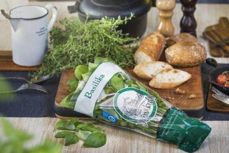 Начало массового производства прозрачного пластика на основе древесины приближается