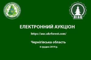 Аукціон з продажу круглих лісоматеріалів заготівлі 1 кварталу 2020 р Чернігівській області