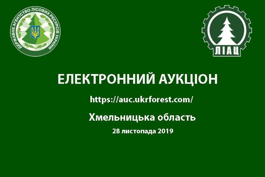 Аукціон з продажу необробленої деревини заготівлі 1 кварталу 2020 року по Хмельницькій області