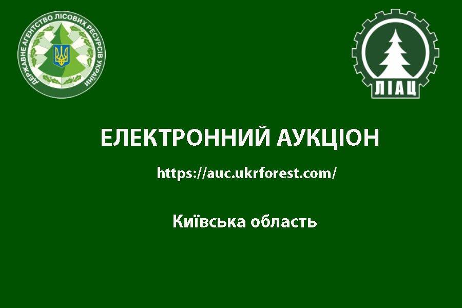 Аукціон з продажу необробленої деревини заготівлі 1 кварталу 2020 року