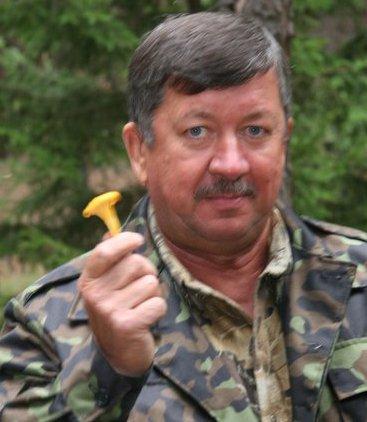 Экономическая результативность государственного лесного хозяйства и пути ее повышения (ретро)