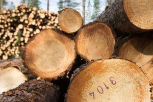 Швеция: цены на круглый лес продолжают снижаться