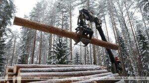 Почти 3,5 млн куб.м древесины реализовано на годовых биржевых торгах