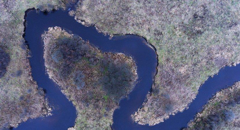 You are currently viewing Они хотят в Беловежской пуще удерживать больше воды