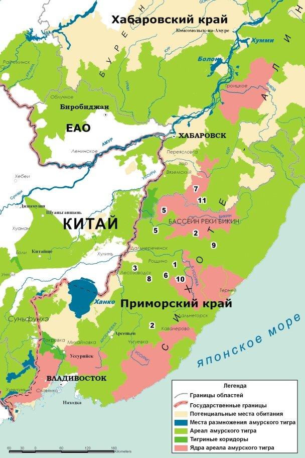 Таежный тупик