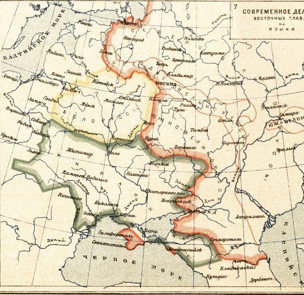 К истории «аграрных лесов» Украины