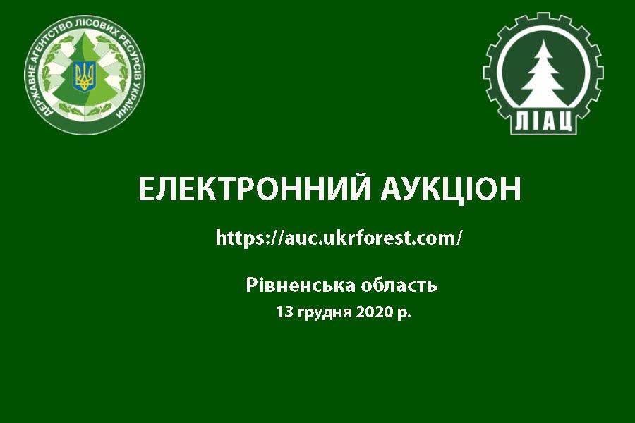Електронний квартальний аукціон з продажу необробленої деревини (ресурсів січня 2020 року), Рівненська область
