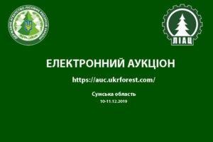 Електронний квартальний аукціон з продажу необробленої деревини (поставка I квартал 2020 року) по Сумській області