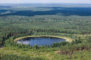 В России разработают новую структуру управления лесной отраслью