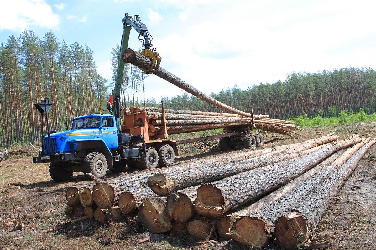 Орієнтовна сортиментна структура заготівлі деревини у 2020 році