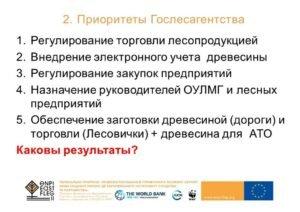 Лесная реформа в Украине: предпосылки, условия, варианты