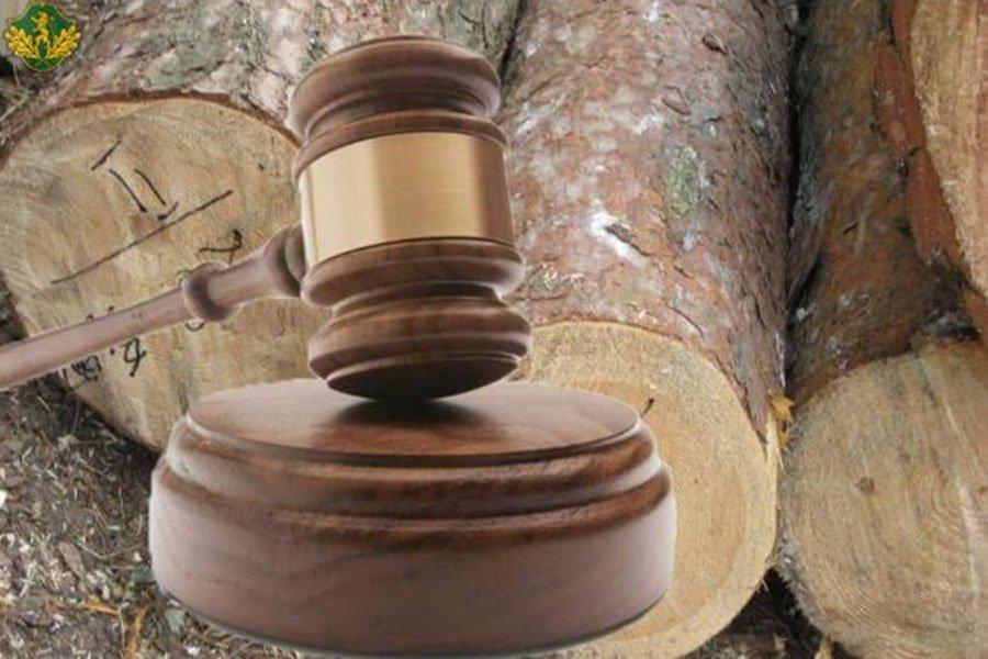 Результати аукціонних торгів по Львівській області