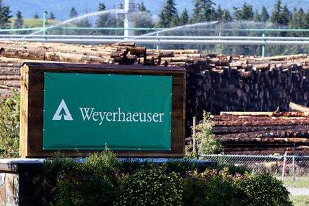 Weyerhaeuser продаст лес в Монтане за $ 145 млн