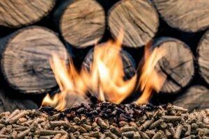 Pinnacle построит новый завод по производству древесных пеллет в США