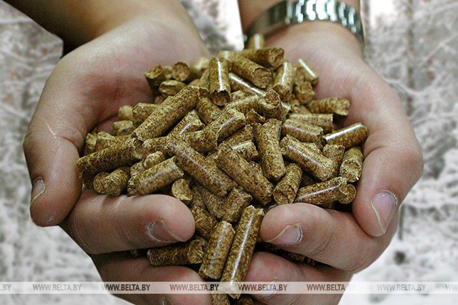 В 2020 г. в системе Минлесхоза Беларуси организуют производство 156 тыс. т топливных пеллет