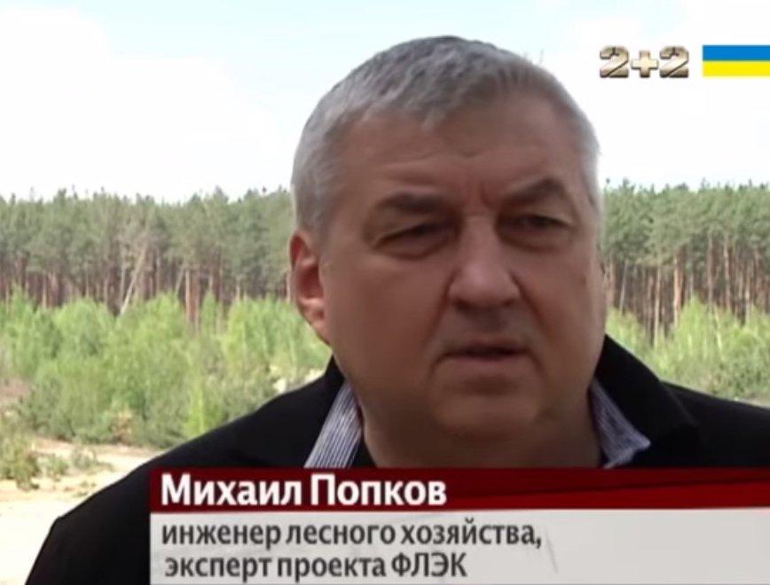 О проблемах лесоразведения в Украине
