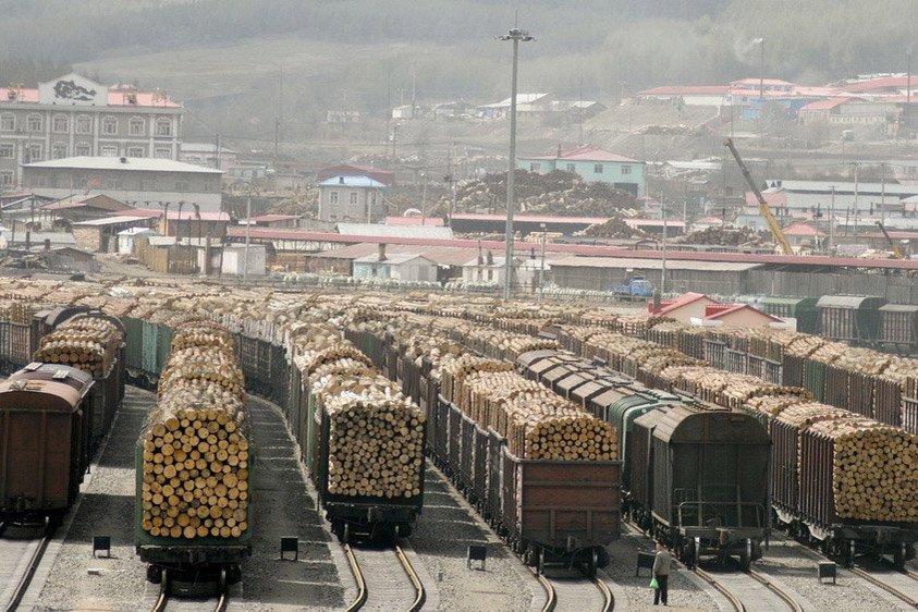 You are currently viewing Россия: экспорт бревен хвойных пород в 2019 году обвалился