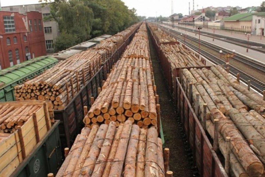 Экспорт «кругляка» из России снизился на 25%