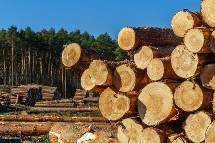 Тюмень дебютировала на Санкт-Петербургской товарно-сырьевой бирже